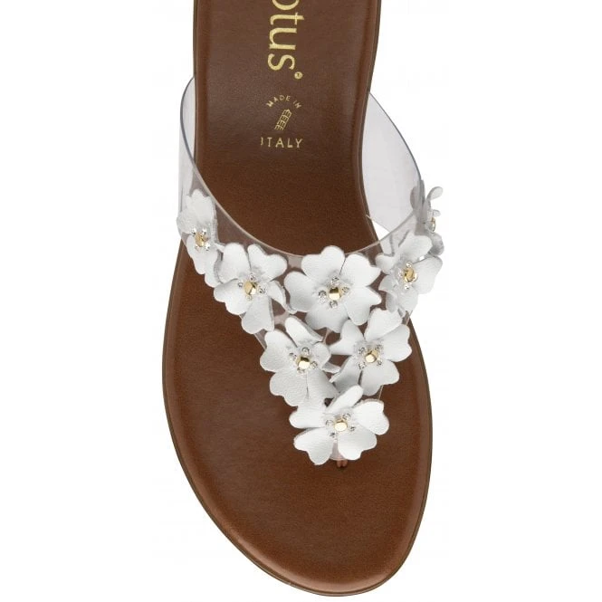 White Brittany Toe-Post Sandals | Lotus 4 White Brittany Toe-Post Sandals | Lotus - Image 4