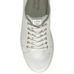 White Leather Sylvia Lace-Up Trainers | Stressless By Lotus 7 White Leather Sylvia Lace-Up Trainers | Stressless By Lotus -Top Quality Shoe Store white leather sylvia lace up trainers stressless by lotus p13316 31631 medium
